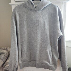 Aritzia Super World Hoodie